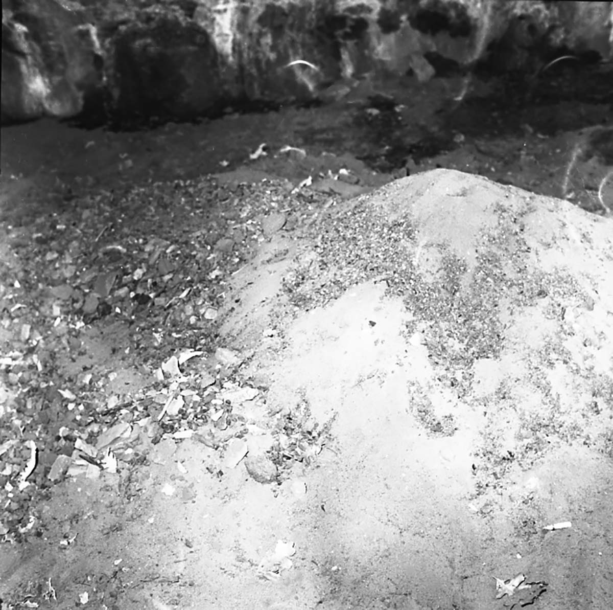 42WS0069. Indian cave in Cave Valley to document pot hunter activities.
