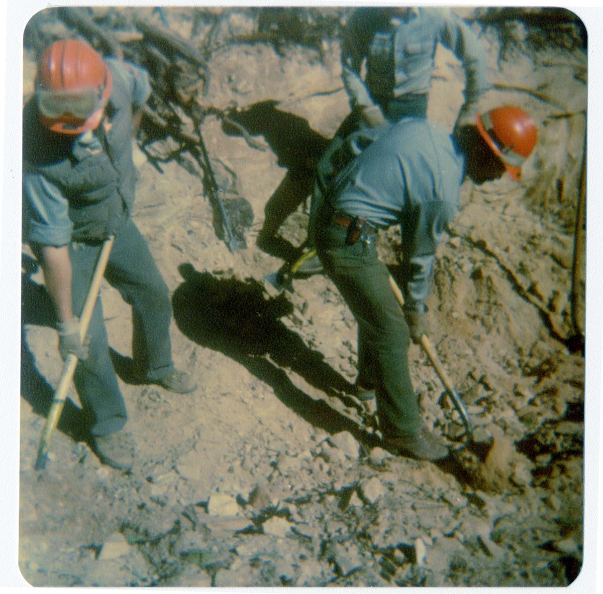 NPS personnel working on trail in Zion.