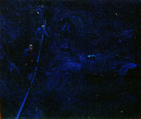 The construction of the Wiley Spring water vault.