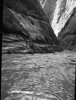 Scene in the Narrows - Virgin River Canyon.