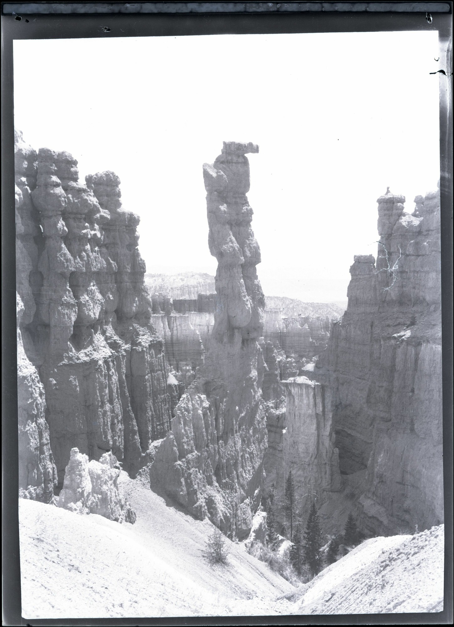 BRCA Museum and Archives Image