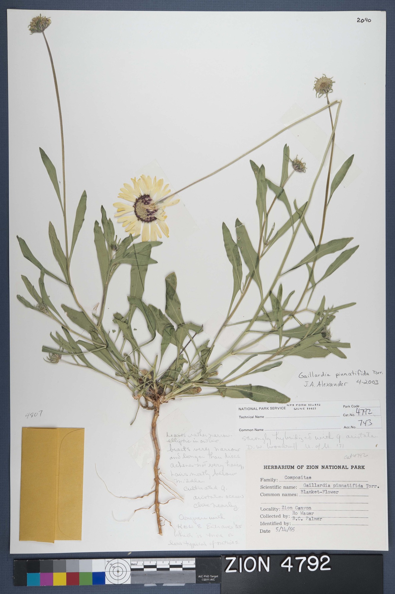 Herbarium Specimen Sheet 4792