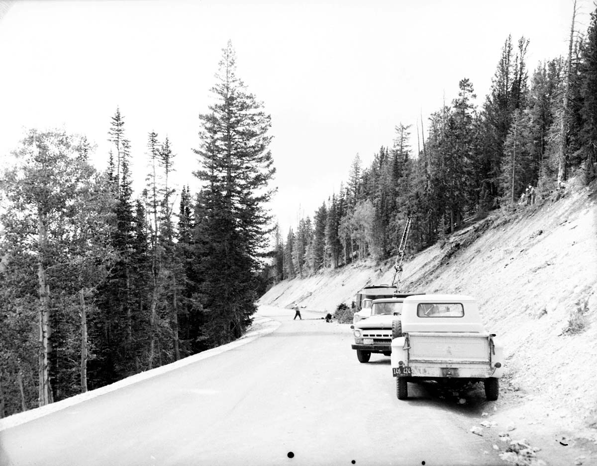 Cleanup work along rim road