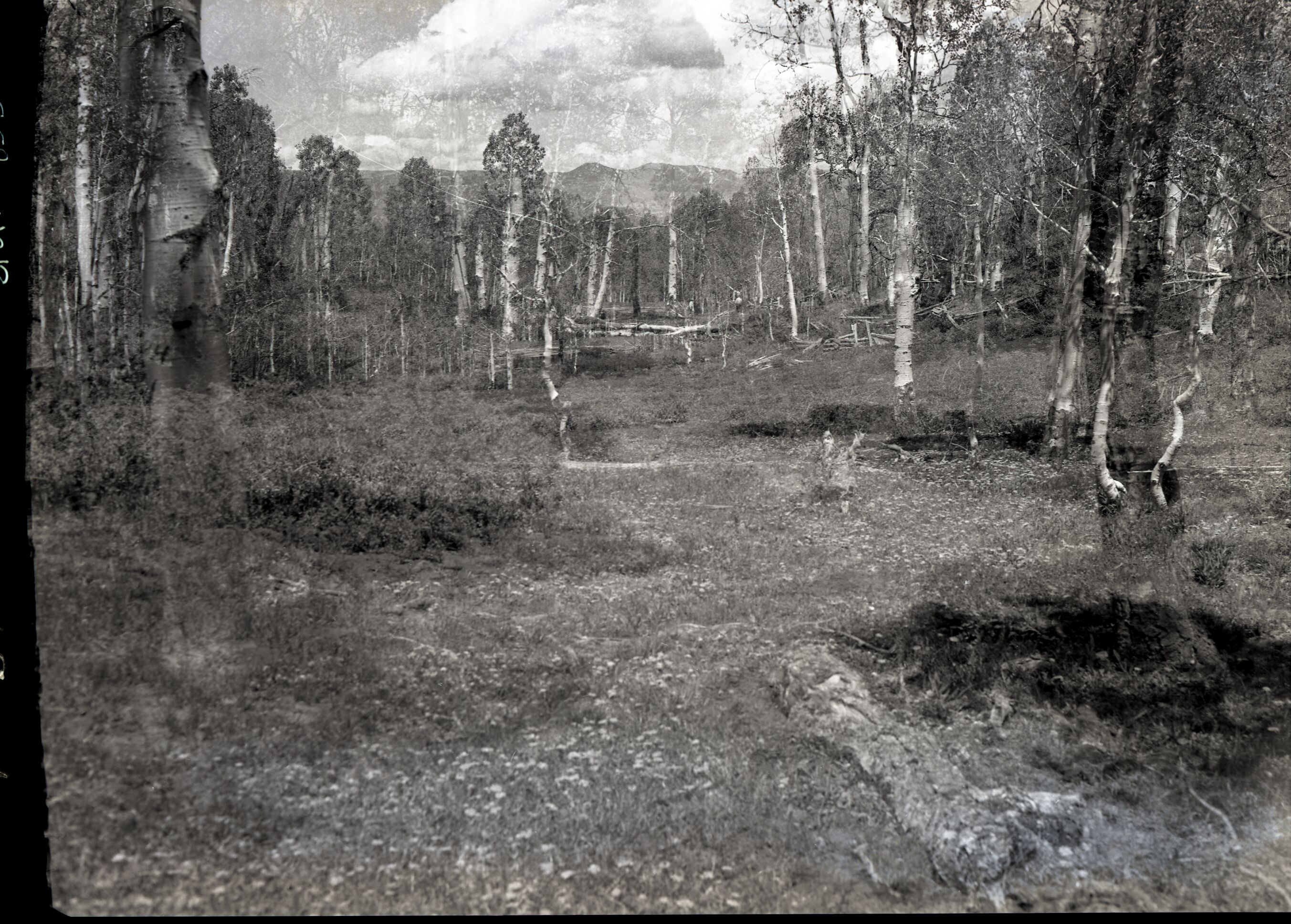 Developments on private land within Zion National Park near Lava Point.