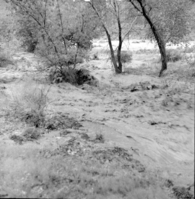 Flood damage from down pour - 1.38-inches in one hour. High water in Oak Creek near bridge adjacent to Visitor Center employee's parking area. Nearly identical to: ZION 8523, negative number 3431b.