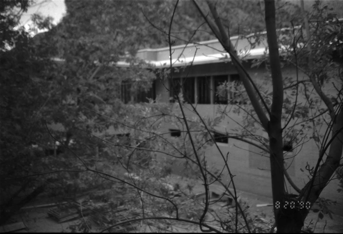 Building through some foliage during the construction of headquarters addition.