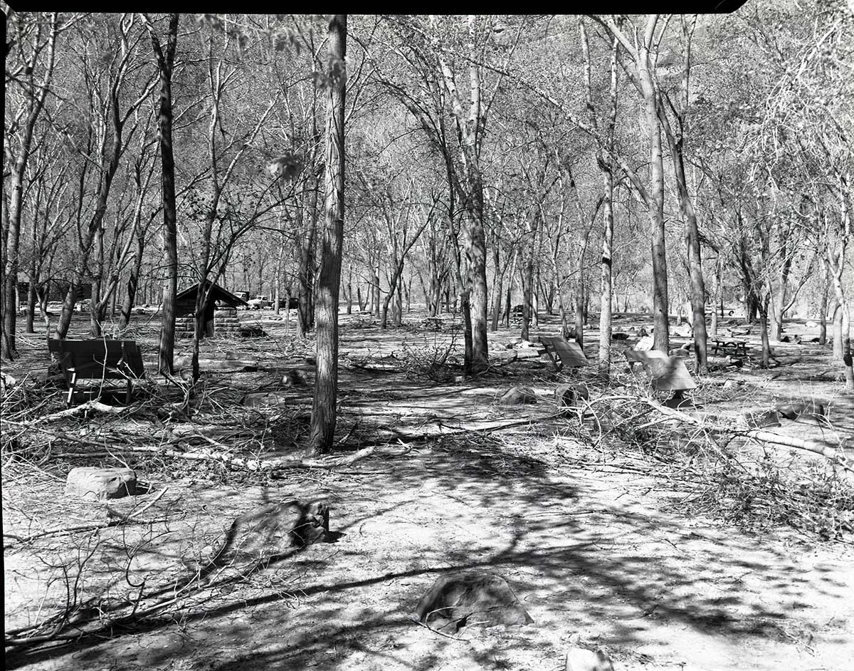 Limbs pruned or fallen from trees in Grotto Campground.