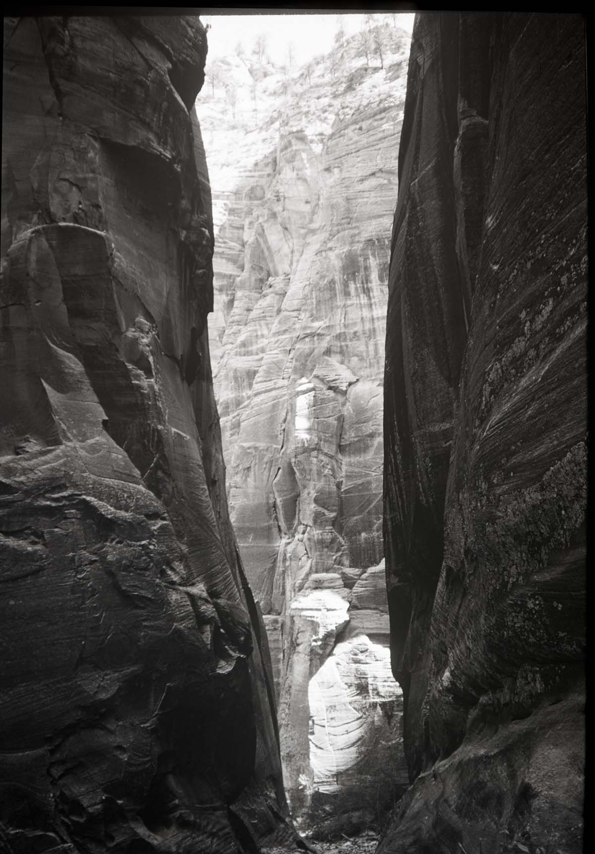 Zion Narrows.