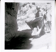 Man pushing a wheel barrow during the West Rim trail half tunnel maintenance/stabilization.