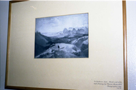 Color Photos of a temporary art exhibit.