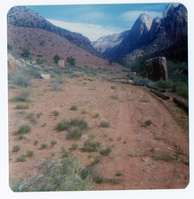 The Springdale water pipeline during construction.