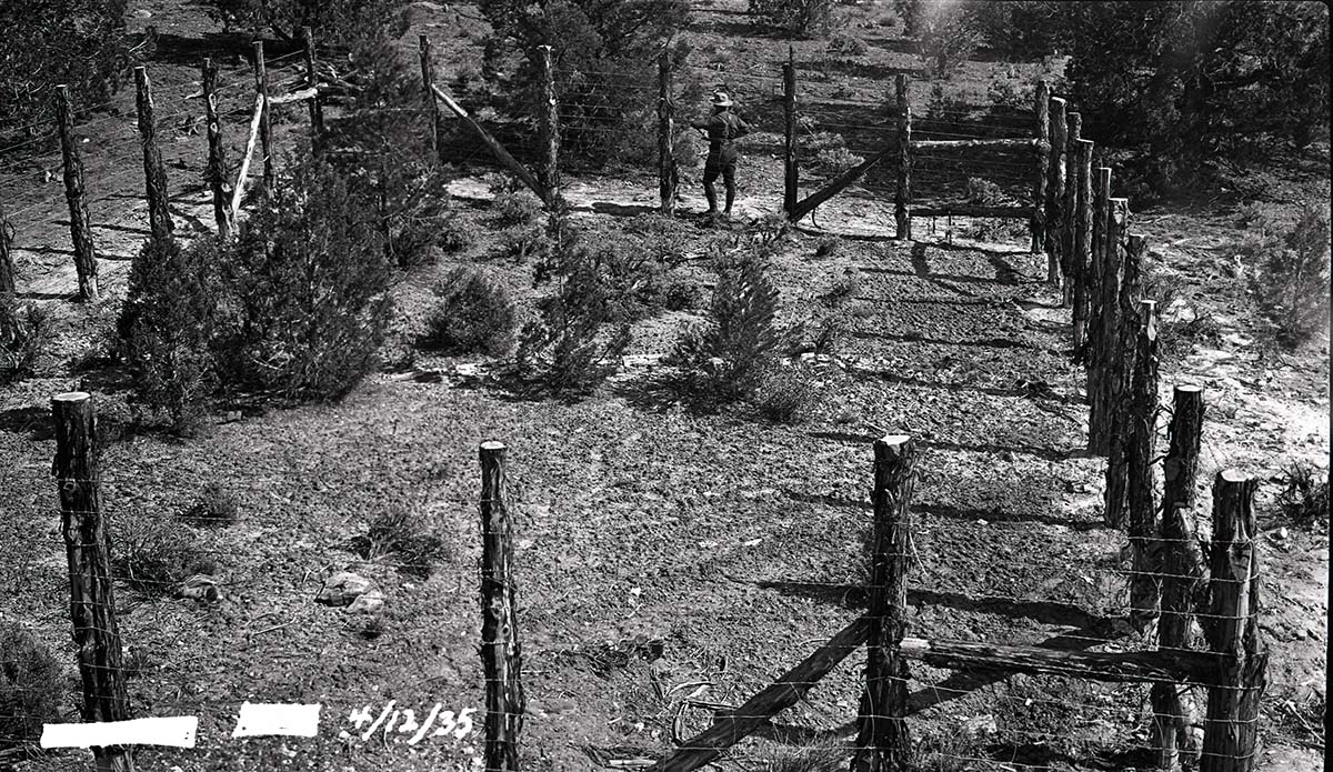 Enclosure in the petrified forest area.