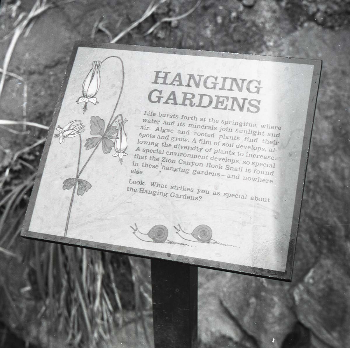 BW Photos of trailside exhibits.