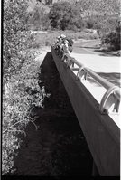 BW Photos of Junior Ranger Activities in Zion. On vehicle bridge near Watchman Housing Area.