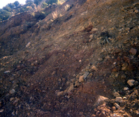 Color Photos of rock slides in Kolob Canyon.