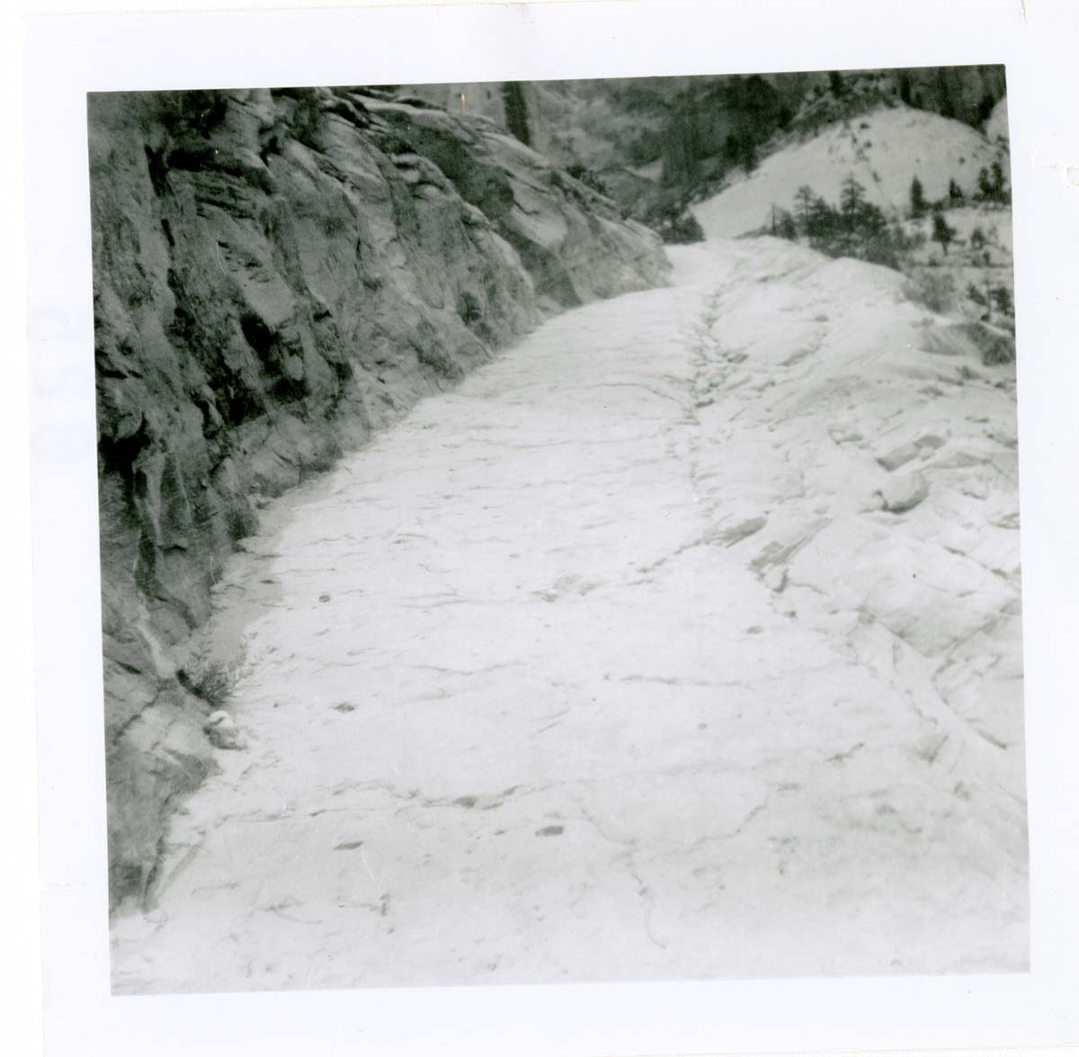 General view of the East Rim trail.