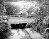 Flood damage - 0.68-inch of rain in a few minutes. Debris on top of bridge near Oak Creek residence area.
