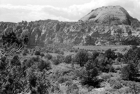 BW photo of the 1937 grazing study 35MM.