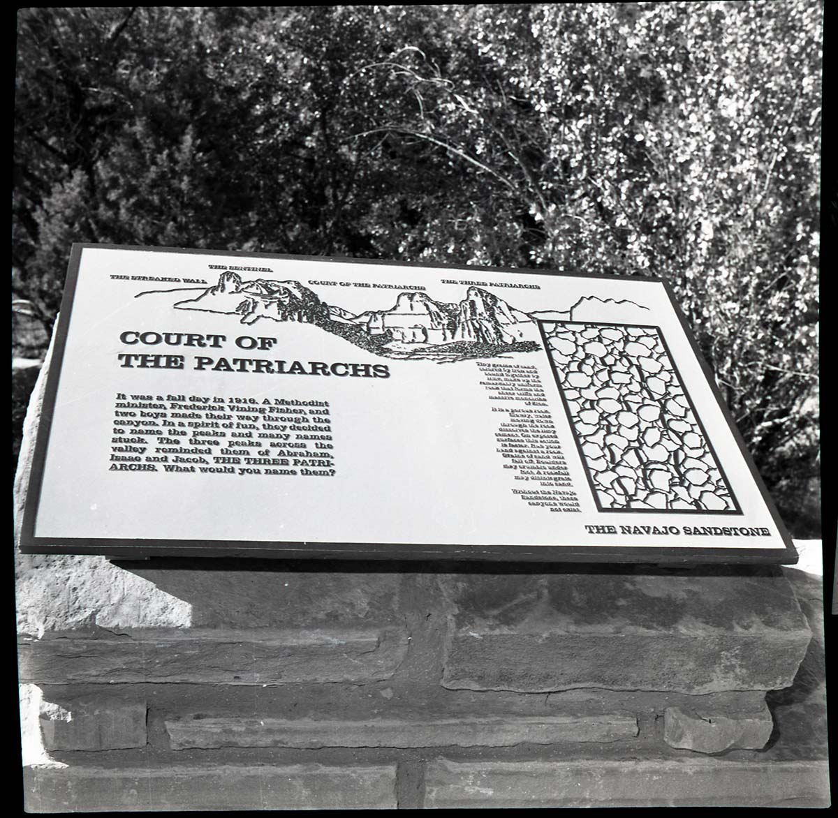 BW Photos of trailside exhibits.