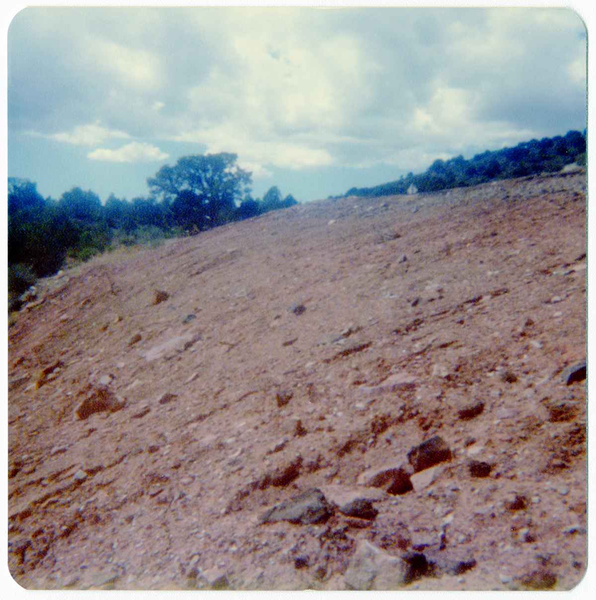 Gravel, dirt, and rocks along the Kolob Terrace Road - North Unit.