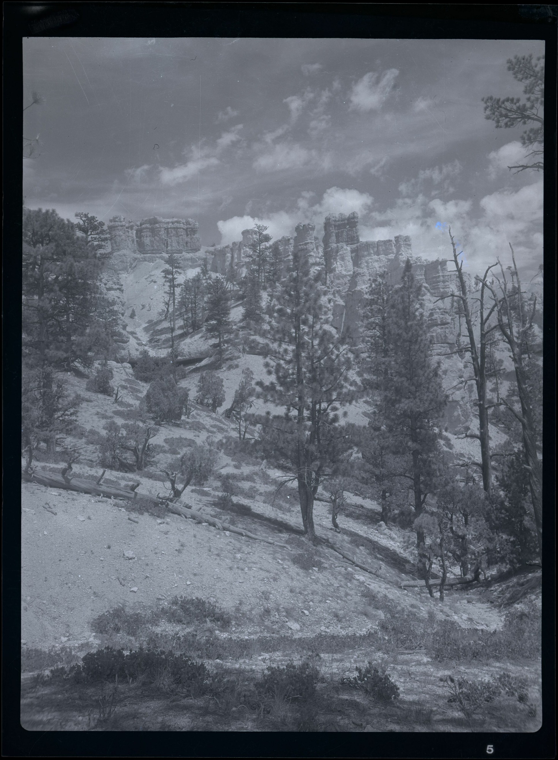 BRCA Museum and Archives Image