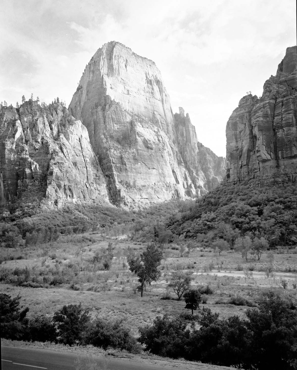 The Great White Throne from across the canyon floor, road in foreground.