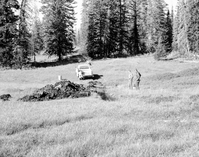 Two men watching water level in trench opened for water exploration, nearby large dirt pile and pickup truck. Water pump and gauge set up in trench.