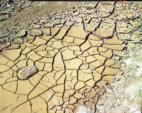 Color photos of mudflows and ripples.