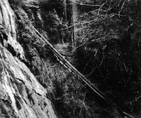 Pipes running along base of canyon wall. The cave of Cave Valley.