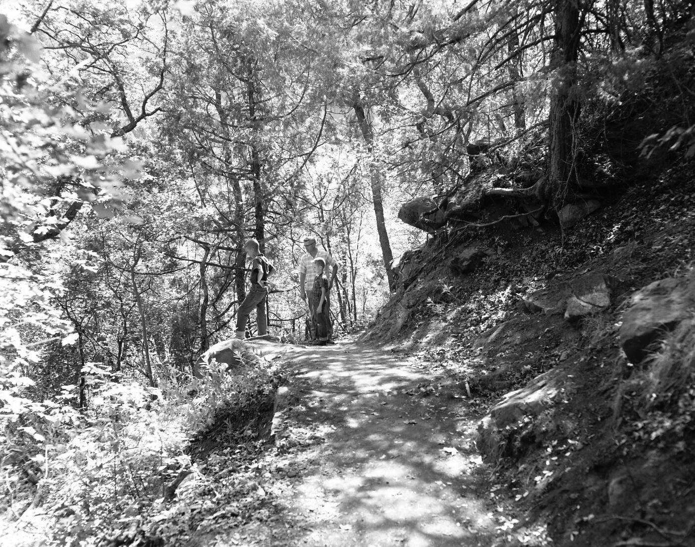 Visitor use in nature study - walking along trail.