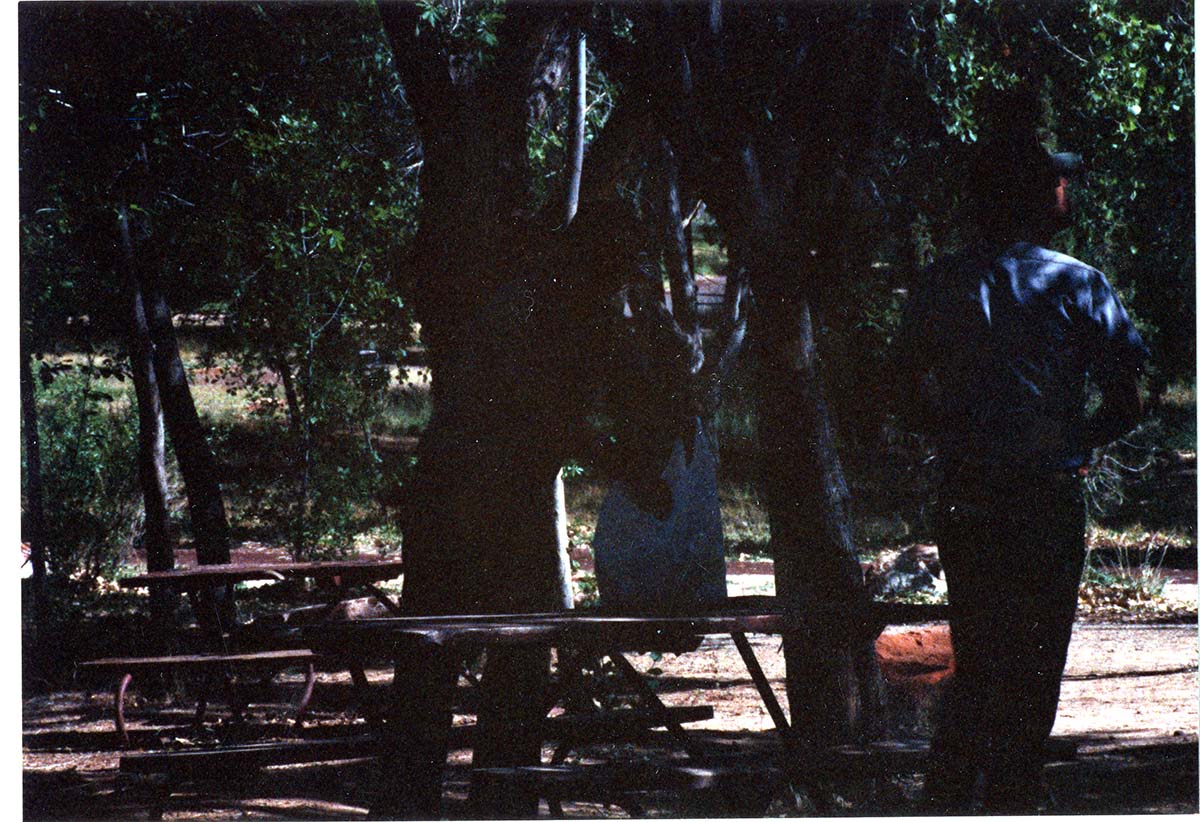 NPS employee picking up litter in campground area.