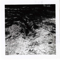 Wiring problem in the Grotto area.