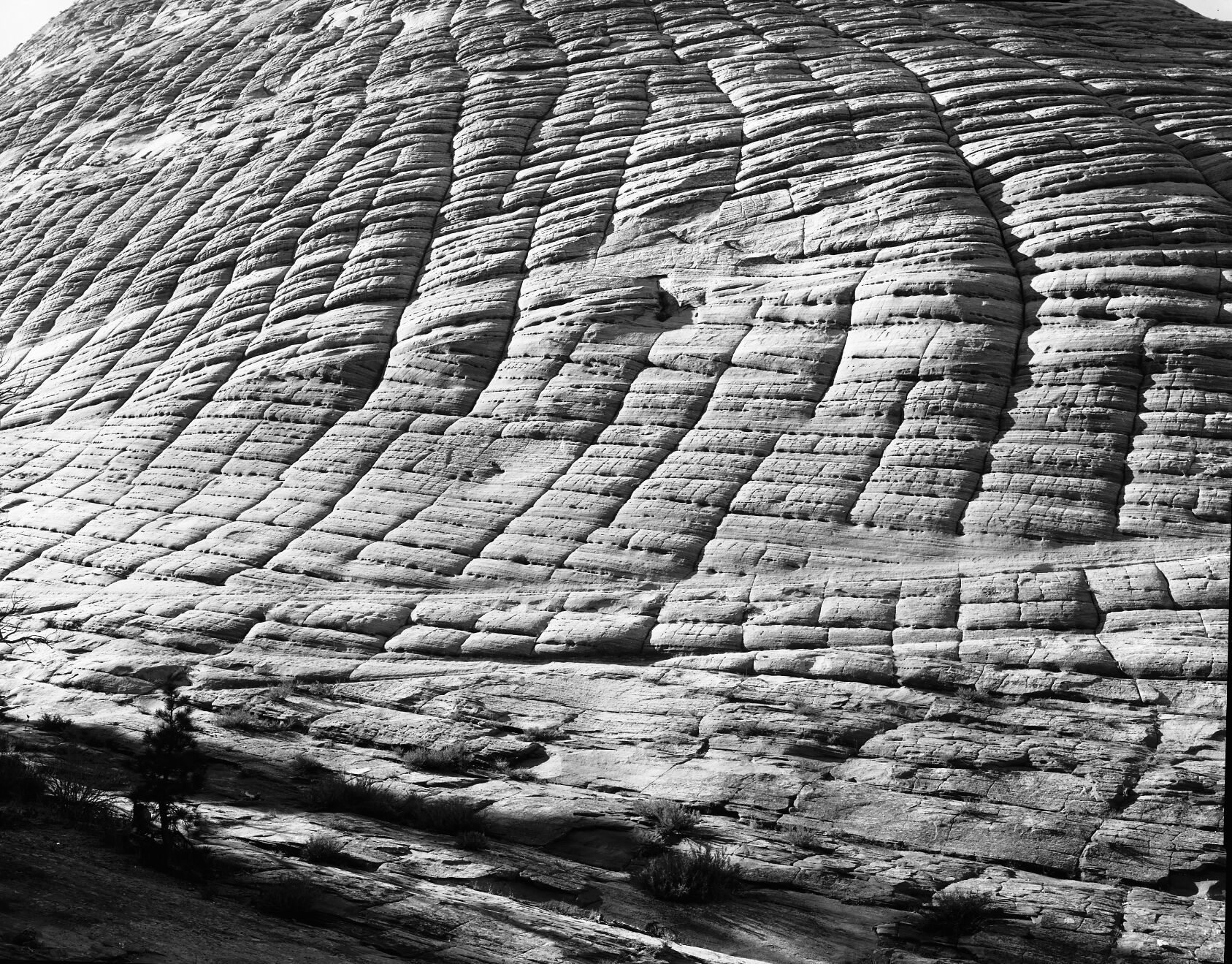 Cross bedded sandstone on Checkerboard Mesa.