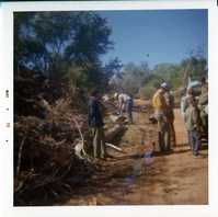 Boy Scout group cleaning up after tree crew in Watchman area.