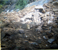 Color Photos of rock slides in Kolob Canyon.
