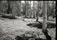 Developments on private land within Zion National Park near Lava Point.