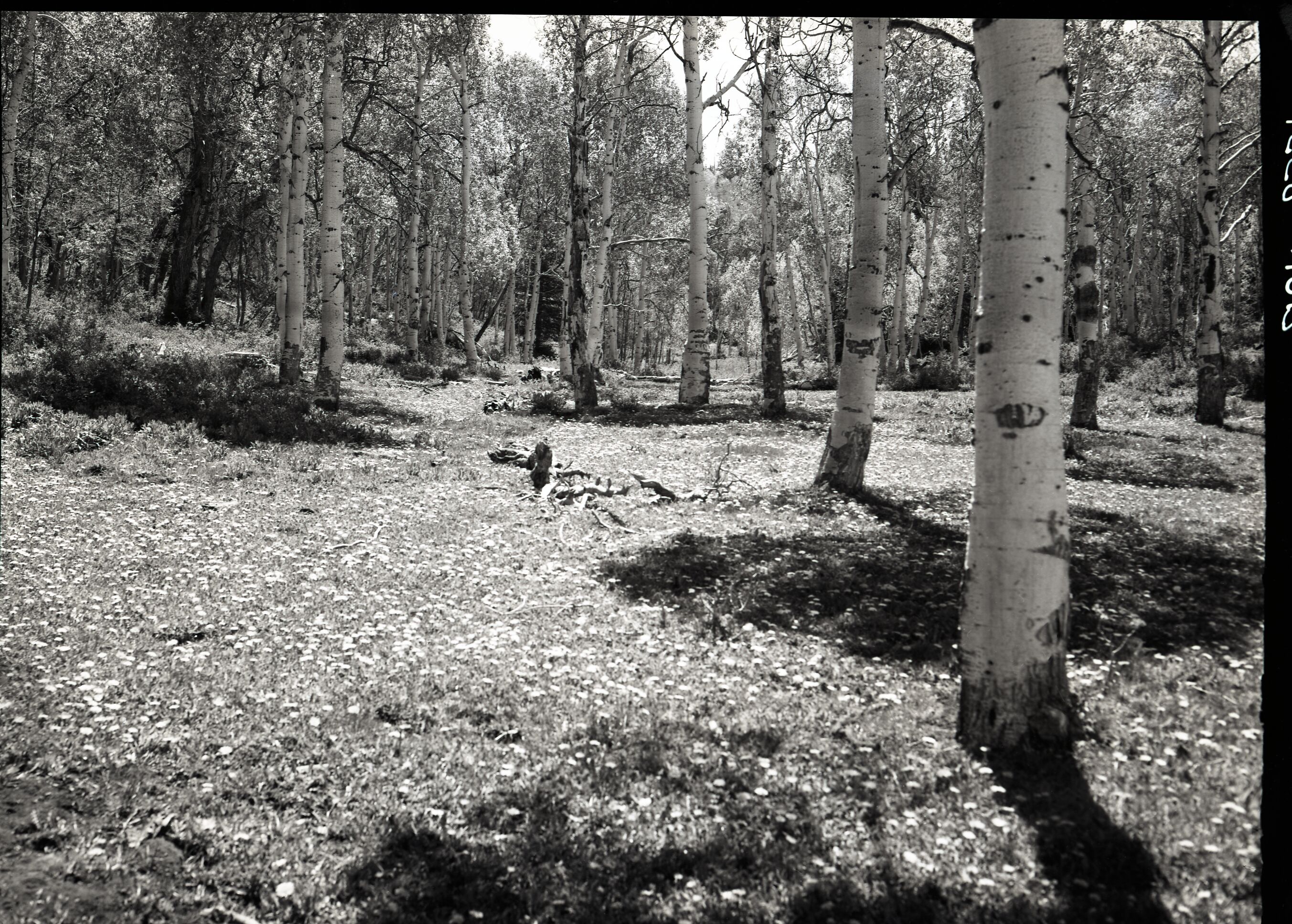 Developments on private land within Zion National Park near Lava Point.
