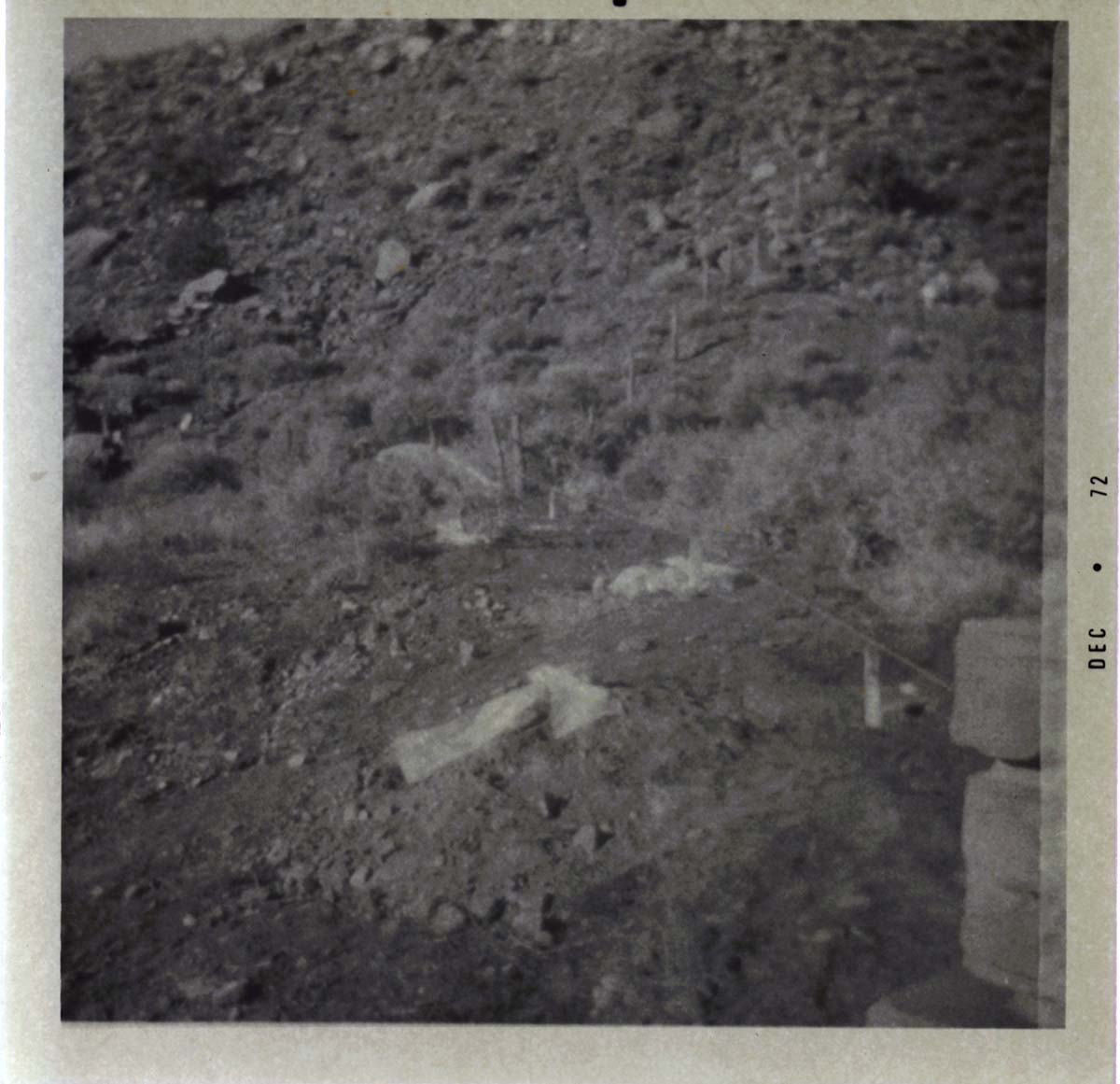 Fence construction at the South Entrance.