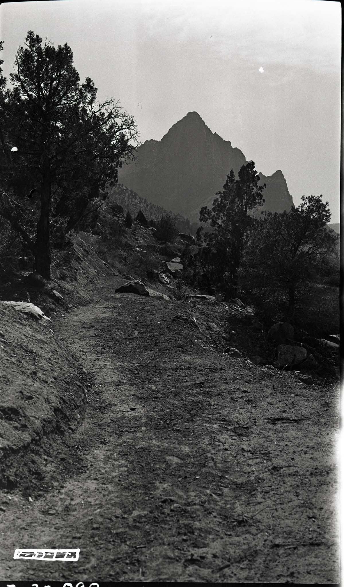 Parunuweap Trail construction.