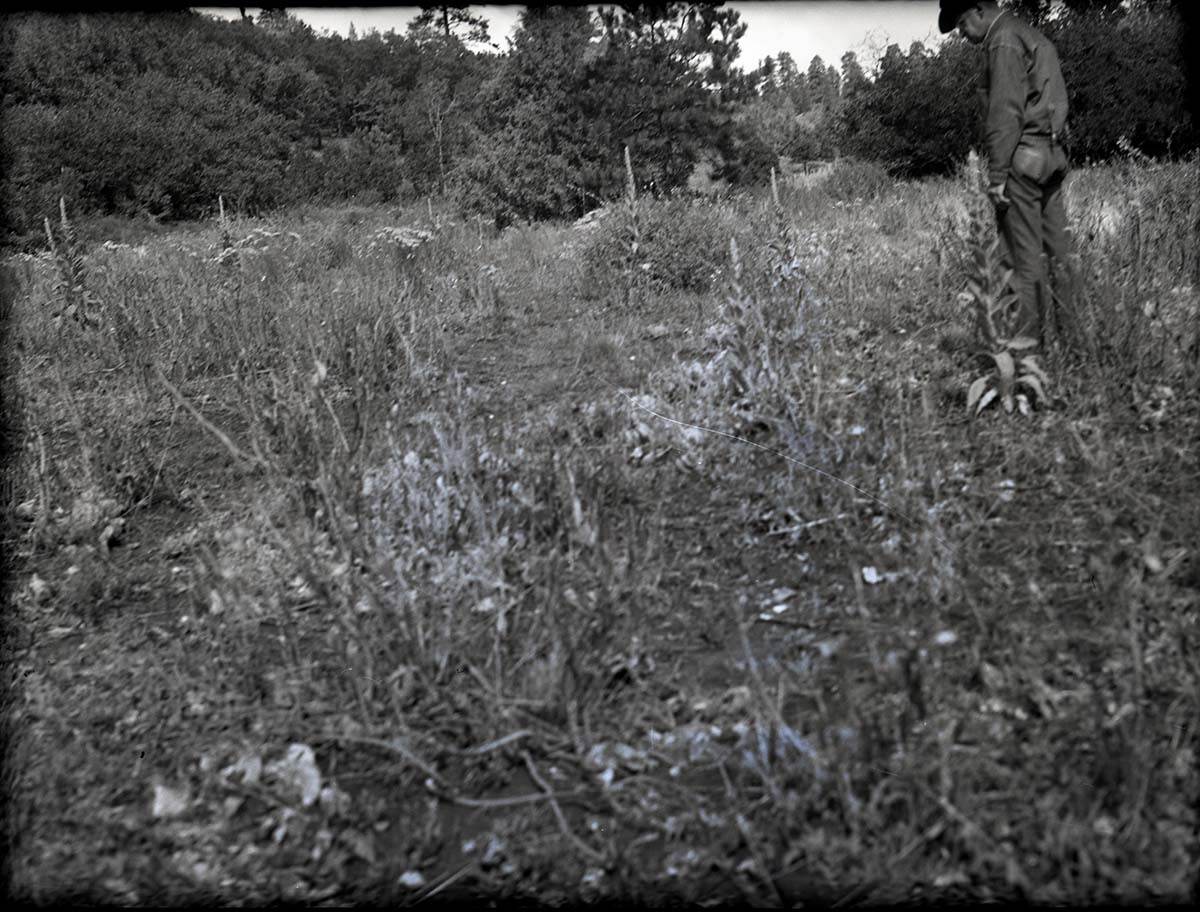 Potato Hollow, federal land. (Similar land on Langston 40 acres.).