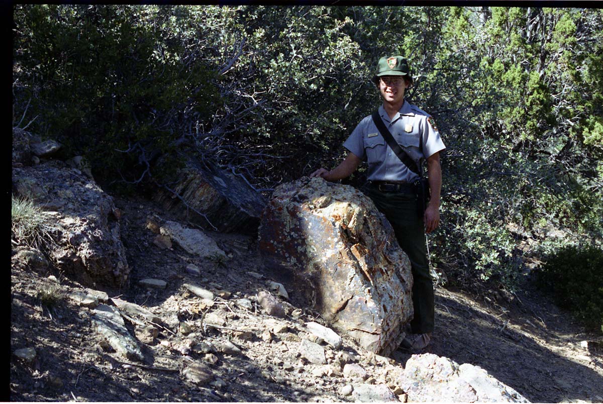 Color Photos of petrified wood. Man standing next to boulder of petrified wood.