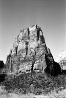 BW Photos of general interior views of Zion Canyon - 35mm.