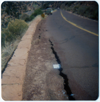 Crack in road in need of repair with paper marking over top.