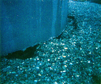 Sewer treatment plant.