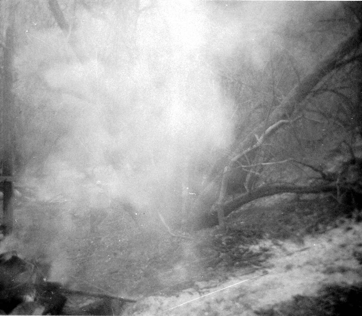 Workers clearing/cleaning and setting up the lodge spray field.