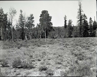 Private land, section 13, T 39 S, R 10 W, SE 1/4 SE 1/4 appraised by Elwood Corry.