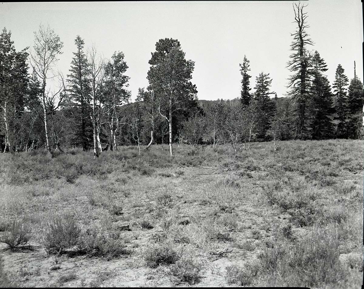 Private land, section 13, T 39 S, R 10 W, SE 1/4 SE 1/4 appraised by Elwood Corry.