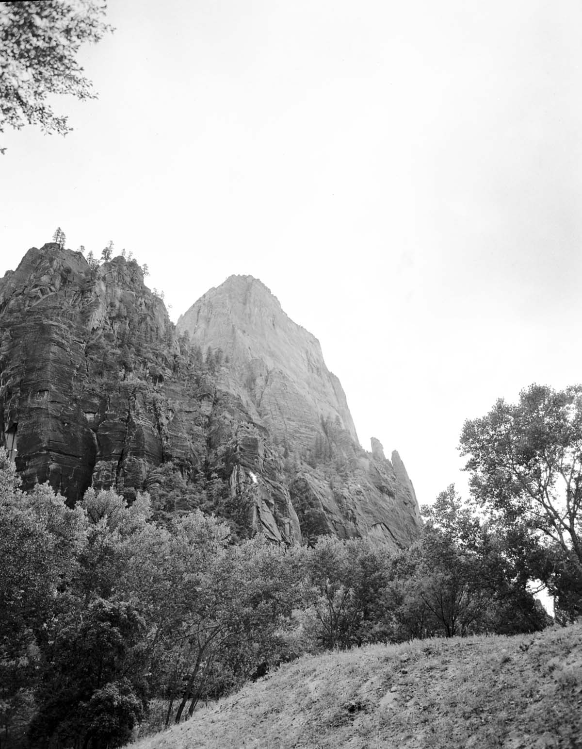 The Great White Throne from near the Temple of Sinawava.