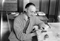 Western Museum Laboratory (WML) worker R. Belmont preparing a cross section of a cactus for the Zion Museum's cactus diorama exhibit.
