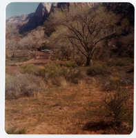 The Springdale water pipeline during construction.